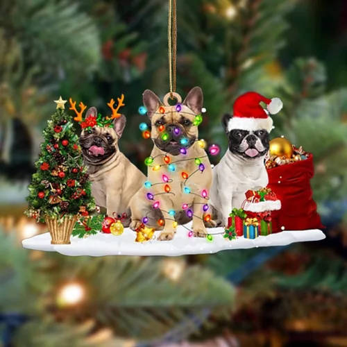 Vista 69 de Nazenti Adorno de Navidad personalizado con amigos Affenpinscher – Adorno de perro personalizado para amantes de las mascotas, acrílico plano