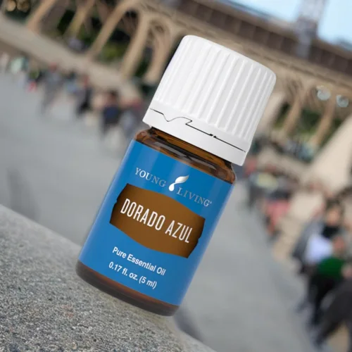 Vista 7 de Dorado Azul de 0.2 fl oz por Young Living - 100% puro y de grado premium - Aceite esencial calmante para la piel - Aromaterapia con infusión