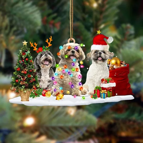 Vista 100 de Nazenti Adorno de Navidad personalizado con amigos Affenpinscher – Adorno de perro personalizado para amantes de las mascotas, acrílico plano