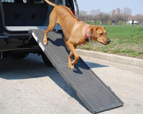 Vista 8 de Petstep Rampa plegable auténtica para mascota, KhakiBeige