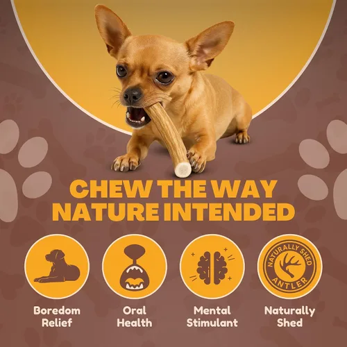 Vista 3 de WhiteTail Naturals - Cuernos de ciervo para perros pequeños (paquete de 12) cuernos masticables naturales para cachorros y pequeños masticadores