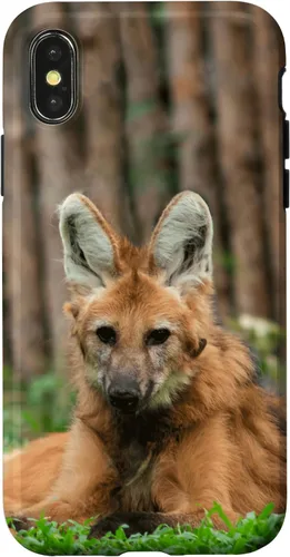 Vista 5 de Funda para iPhone 13 Pro Max Maned Wolf