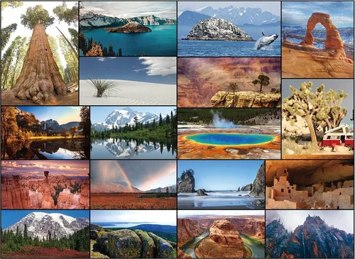 Vista 13 de Nuestros Parques Nacionales Rompecabezas de 100 Piezas - Rompecabezas de Parques Nacionales de EE. UU. para Niños, con Acadia, Yellowstone, Zion