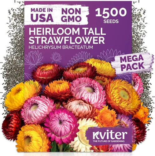 Vista 27 de KVITER 15,000 semillas de rosa musgo mixta para plantar (Portulaca grandiflora) – Cubierta de suelo con floración de reliquia, semilla de Portulaca