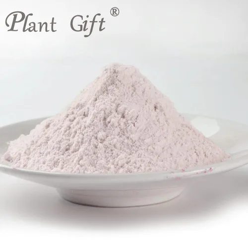 Vista 3 de Plant Gift Harina de taro 100% pura y natural en polvo, gran sabor para bebidas, batidos, yogur, hornear, galletas, pasteles y bebidas, polvo sin