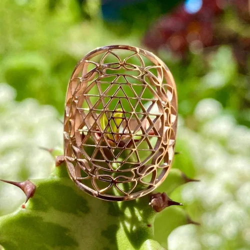 Vista 2 de Anillos Sri Yantra, Oro rosa Cobre