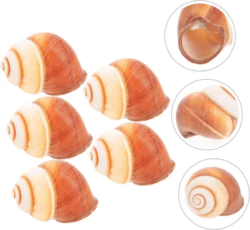 Vista 9 de BESPORTBLE 5pcs Natural Escargot Snail Shells Large Conch Shells for Baking Hermit Crab Habitat Heat Insulation Snail Shells for Restaurant