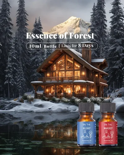 Vista 4 de VTS - Juego de difusor sin agua con aroma de hotel, las 6 mejores mezclas de aceites de aromaterapia para difusores, ambientador de fragancia