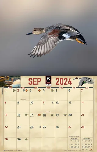 Vista 4 de The KING Company - Calendario de pared de aves acuáticas 2024, tamaño XL, 14 x 22 pulgadas, calendario de gansos de pato por The KING