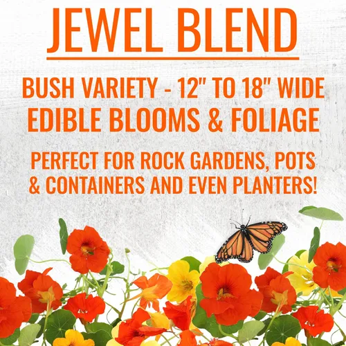 Vista 8 de Seed Needs - Semillas de Capuchina para Plantar Flores Comestibles - Juego de Colección de Mezcla Joya y Capuchinas de Doble Brillo para Atraer