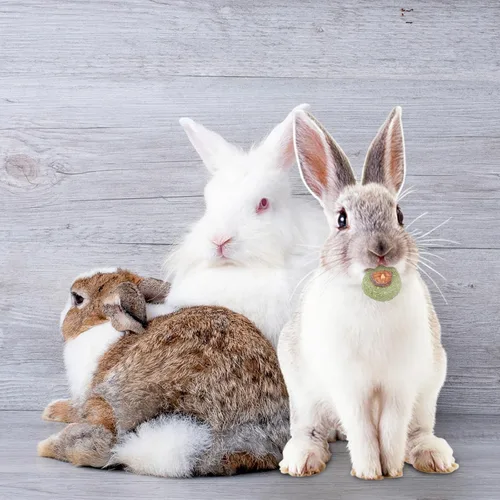 Vista 7 de 20Pcs Rabbit Chew Toys Grass Biscuits for Bunny Teeth Grinding