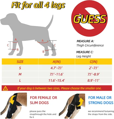 Vista 3 de Rodillera para perro para curar heridas de perro, protector de codo de perro, tratamiento para artritis, alivio del dolor, lesiones de ligamentos