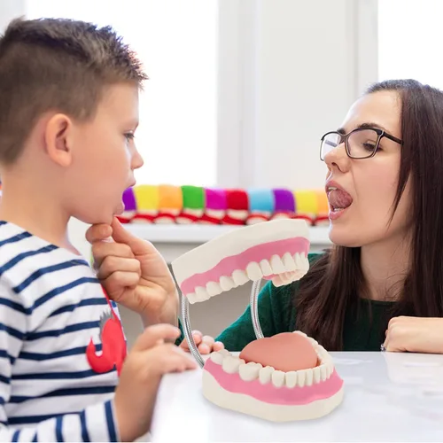 Vista 6 de Modelo de demostración dental de dientes gigantes con cepillo de dientes, modelo de boca de tamaño estándar ampliado 6 veces, modelo de enseñanza
