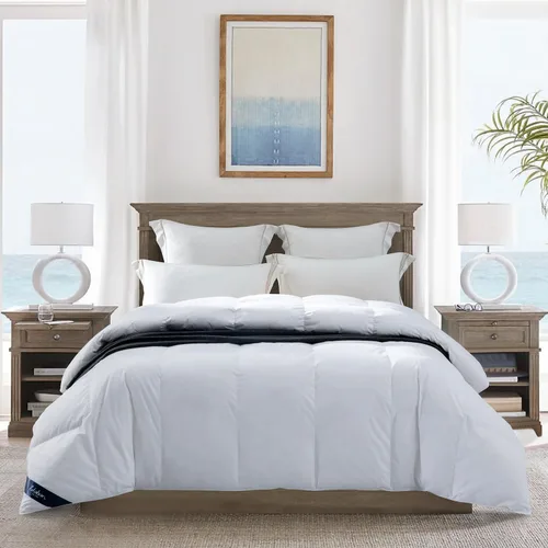 Vista 2 de Globon Ultra-Soft Down Feather Comforter Queen Size,All Season Duvet Insert Luxury Hotel Collection Down Comforter,700 Fill Power,Noiseless