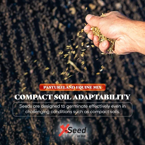 Vista 5 de X-Seed Mezcla de semillas de forraje de tierras secas con Micro-Boost – Festuca alta hierba huerta de riegrass, pasto libre de endófitos para una