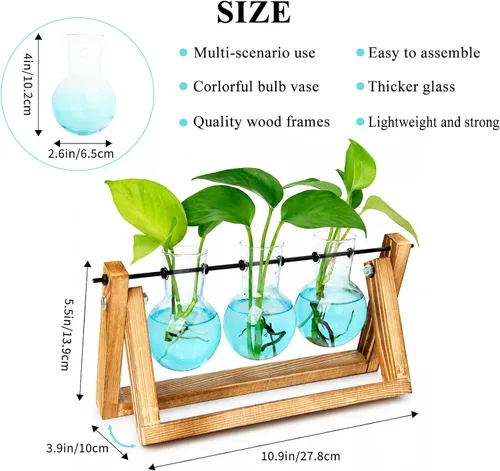 Vista 2 de XXXFLOWER Kit de terrario para plantas con soporte de madera, 3 jarrones de Azul
