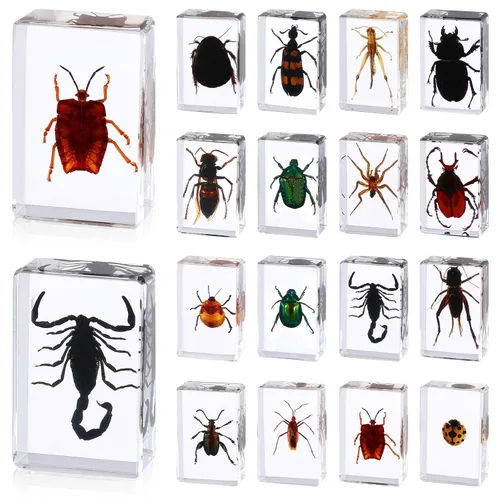 Vista 9 de 16 piezas de insectos mariposa en espécimen de resina, colección de bichos, pisapapeles, 16 estilos de espécimen real de bichos, kit de bichos