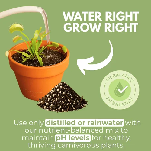 Vista 4 de Organic Earth Mezcla de suelo para plantas carnívoras, tamaño grande, alimento para plantas, turba y perlita para plantas carnívoras, suelo