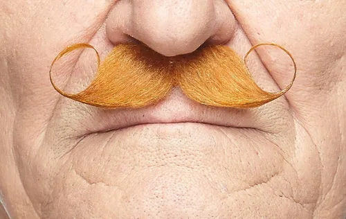 Vista 3 de Mustaches Self-Adhesive Fake Mustache, Synthetic Fur Costume Accessory Set Jengibre