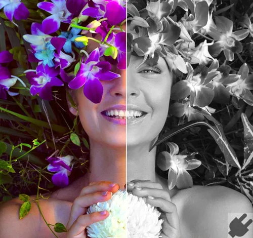 Vista 6 de Corel AfterShot Pro 3 RAW Photo Editing Software [PC/Mac Key Card]