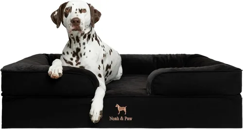 Vista 13 de NOAH & PAW Cama para perros pequeños, 20 x 15 x 8 pulgadas, cama para gatos de interior, espuma viscoelástica ortopédica de cáscara de huevo