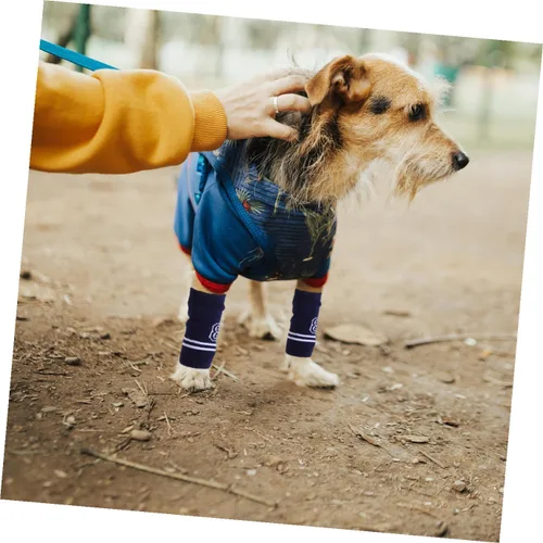 Vista 6 de ERINGOGO 4pcs Elastic Fit Dog Elbow Sleeves Dog Leg Warmers Knitted Leg Wraps for Pet Elbow Support Sleeves Protective Design