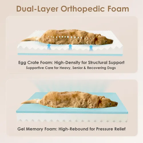 Vista 2 de EHEYCIGA Cama ortopédica para perros medianos, sofá cama de espuma viscoelástica con lados, forro impermeable y funda extraíble lavable, sofá