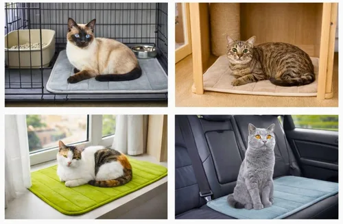 Vista 6 de Tapete lavable para cama de mascotas (23.6 x 15.8 pulgadas), paquete de 3 unidades para uso en interiores y exteriores, tapete suave para dormir