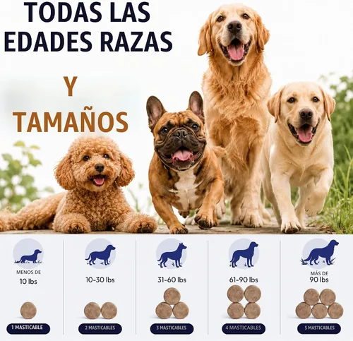 Vista 7 de (Paquete de 2) Probióticos para Perros - 340 Masticables Probióticos para Perros - Enzimas Digestivas y Prebióticos - Apoyan la Salud Intestinal