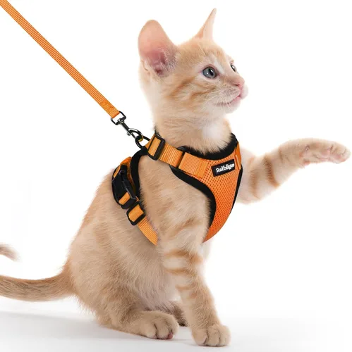 Vista 31 de rabbitgoo Cat Harness and Leash Set, Escape Proof Vest, XXS, Berry Pounce Soft Breathable Mesh, No-choke Adjustable Fit, Snap Buckles, Sturdy