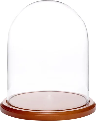 Vista 7 de Plymor Cúpula de cristal de 8" x 10.25" (base de chapa de nogal)