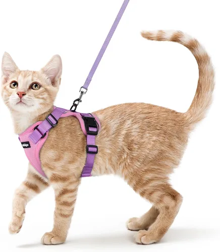 Vista 49 de rabbitgoo Cat Harness and Leash Set, Escape Proof Vest, XXS, Berry Pounce Soft Breathable Mesh, No-choke Adjustable Fit, Snap Buckles, Sturdy