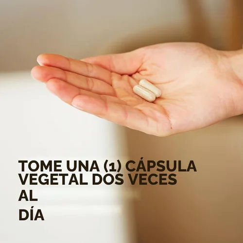 Vista 3 de Solgar Ester-C Plus 500 mg de vitamina C (complejo de ascorbato) – 50 cápsulas vegetales – Suave y no ácido – Antioxidante y apoyo inmunológico