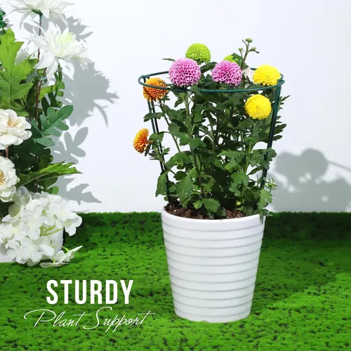Vista 7 de LEOBRO Estacas de soporte para plantas, 4 estacas para plantas, soporte para plantas, jaulas y soportes de peonía, estacas de jardín, estacas