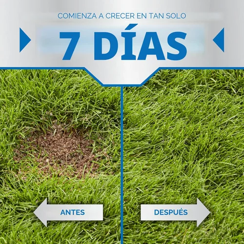 Vista 3 de Scotts PatchMaster - Mezcla de reparación de césped Sun + Shade Mix, combinación de semillas de hierba, fertilizante y mantillo, 4.75 libras
