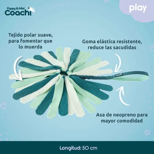 Vista 3 de Juguete para perros Coachi PUPPY & MINI TUGGI SPIDER Verde