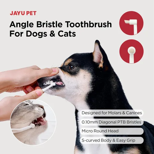 Vista 4 de JAYU PET Cepillo de Cuidado Dental (Cerdas de Borde) 1 unidad - Cepillo de Dientes para Perro con Cabeza Micro Redonda, Cepillo de Dientes