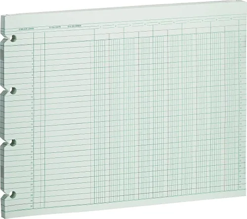 Vista 7 de Wilson Jones Hojas de contabilidad, seis columnas, 9-1/4 x 11-7/8, verde, paquete de 100 hojas sueltas (WLJG106)
