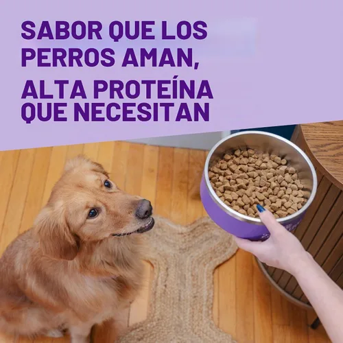 Vista 3 de Wellness CORE Alimento seco para perros, sin granos, alta proteína, natural, receta de pescado blanco del océano, arenque y salmón