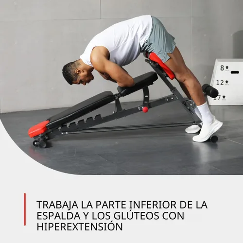Vista 6 de Finer Form - Banco de pesas multifuncional FID para entrenamiento corporal todo en uno – Extensión de espalda hiper, silla romana, banco ajustable