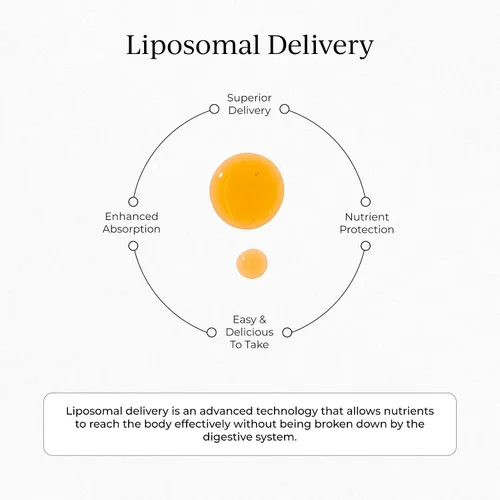 Vista 7 de CYMBIOTIKA Paquetes individuales de vitamina C, suministro liposomal, suplemento para apoyo inmunológico, refuerzo de colágeno y envejecimiento