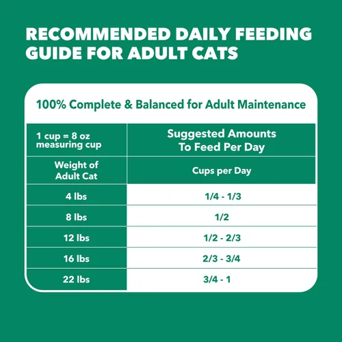Vista 10 de Comida seca para gatos senior saludable IAMS Proactive Health con pollo, bolsa de 3.5 lb