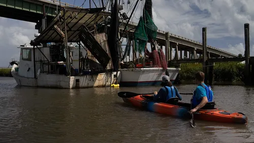 Vista 3 de Wilderness Systems Pamlico 135 Siéntate dentro del kayak recreativo Galaxia