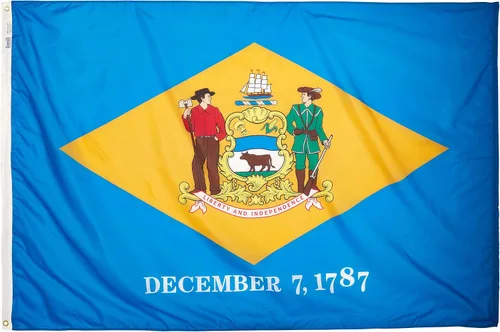 Vista 4 de Bandera de Delaware (2 pies x 3 pies) USA-Made to Official State Design Specifications