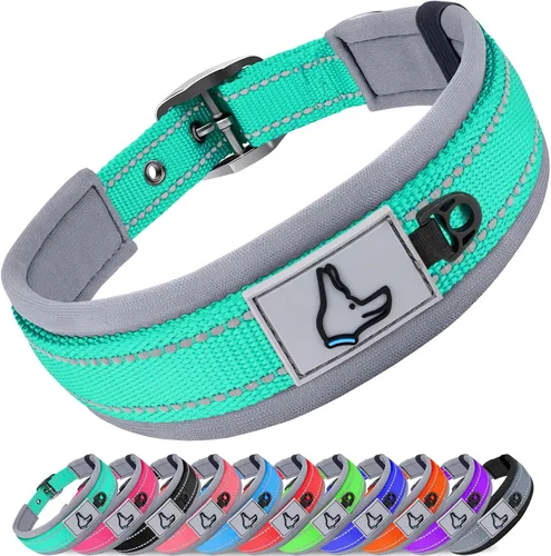 Vista 8 de Joytale Collar para perros pequeños, de neopreno acolchado y ajustable, collares para mascotas reflectantes, anchos y resistentes, con hebilla