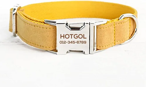Vista 10 de Collares de perro personalizados con identificador de nombre grabado personalizado para mascotas para razas pequeñas medianas grandes (XS, azul)