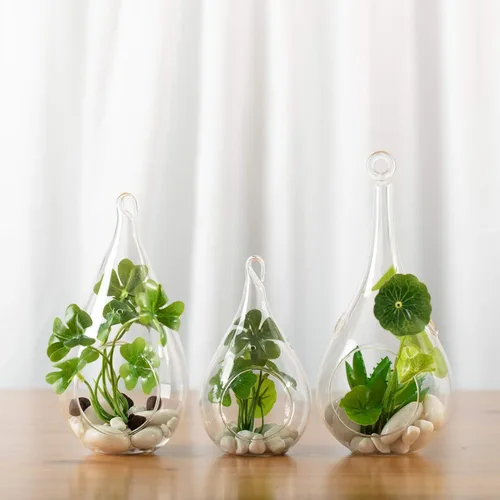 Vista 7 de WGV - Terrario colgante de cristal para plantas, ancho 4 pulgadas, altura 9.25 pulgadas, lágrima, maceta de aire para suculentas, luz de té