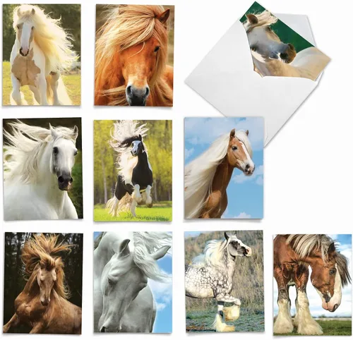 Vista 14 de The Best Card Company - Tarjetas de animales en blanco en caja, 4 x 5.12 pulgadas, mascotas surtidas, zoológico, tarjetas de vida silvestre