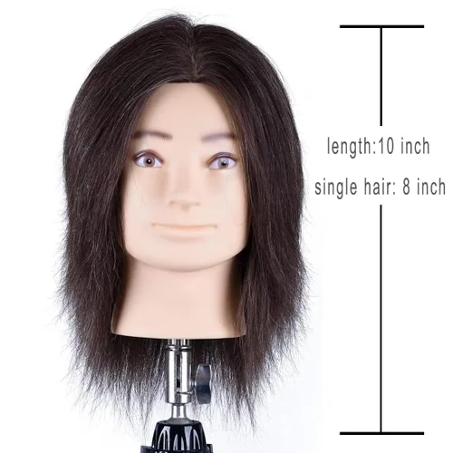 Vista 4 de HAIRWAY Cabeza de maniquí masculino de 8 pulgadas, cabeza de maniquí de práctica de peluquero con cabello humano 100% real, cosmetología, Marrón