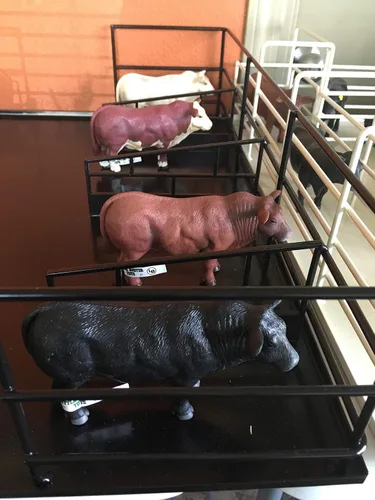 Vista 2 de Little Buster Toys Angus Bull - Toro Angus rojo realista, escala 1/16